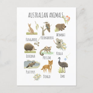 Australische Tiere Postkarte