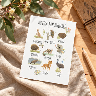 Australische Tiere Postkarte