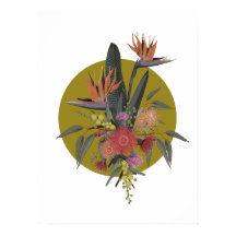 Australische Tropicals