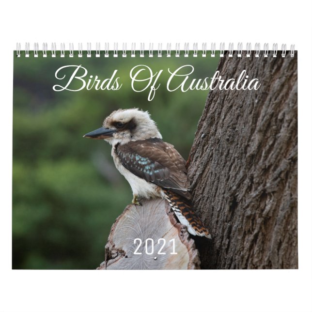 Australische Vögel 2021 Tierkalender Kalender (Titelbild)
