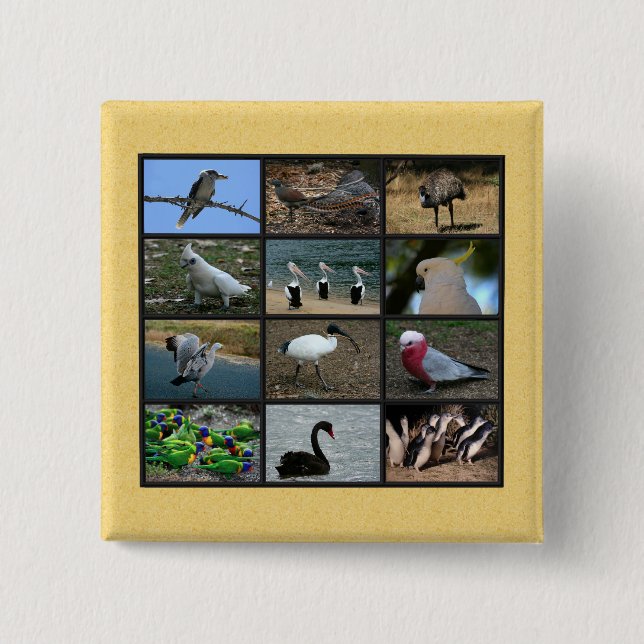 Australische Vögel Button (Vorderseite)