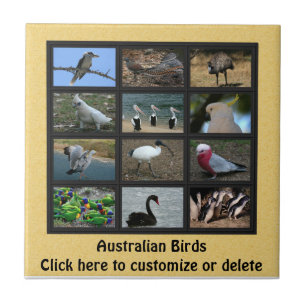 Australische Vögel Fliese