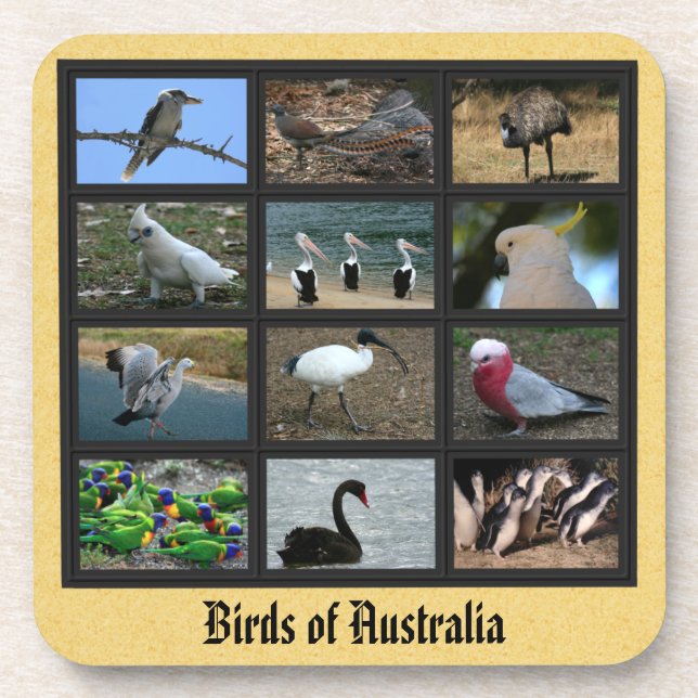 Australische Vögel Getränkeuntersetzer (Vorderseite)