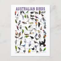 Australische Vogelkarte