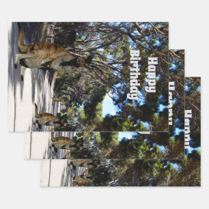 Australische Wallaby-Straße, Geschenkverpackungsbö Geschenkpapier Set