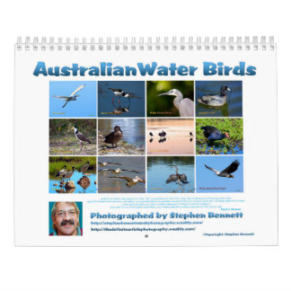 Australische Wasser-Vögel Kalender