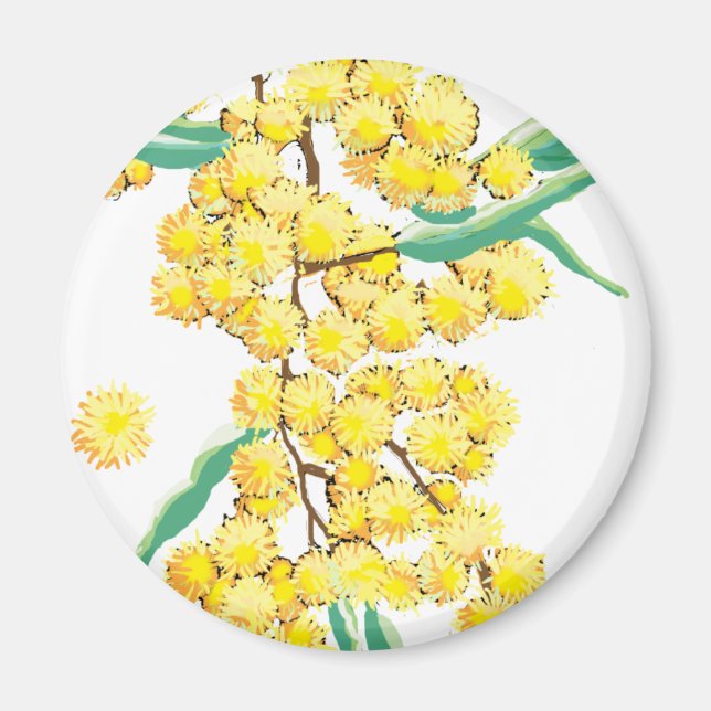 Australische Wattle Magnet (Vorne)