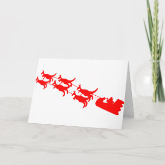 Australische Weihnachtsgeschenke! Feiertagskarte