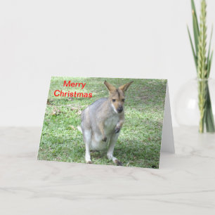 Australische Weihnachtskarte Feiertagskarte