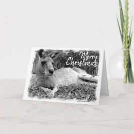Australische Weihnachtskarten - Kangaroo Karte