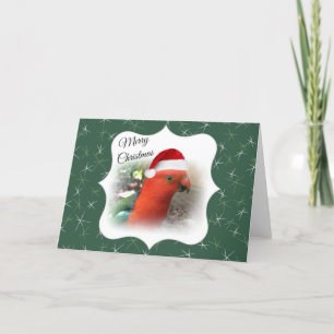 Australische Weihnachtsmitteilung - gebürtiges Feiertagskarte