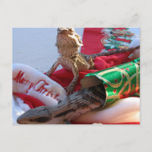 Australische Weihnachtspostkarte Feiertagspostkarte