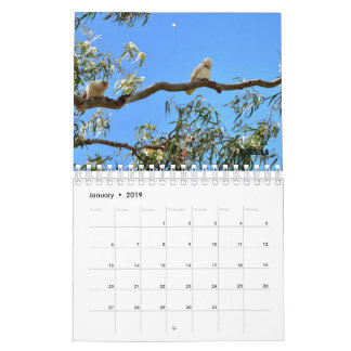 AUSTRALISCHE WILD LEBENDE TIERE KALENDER