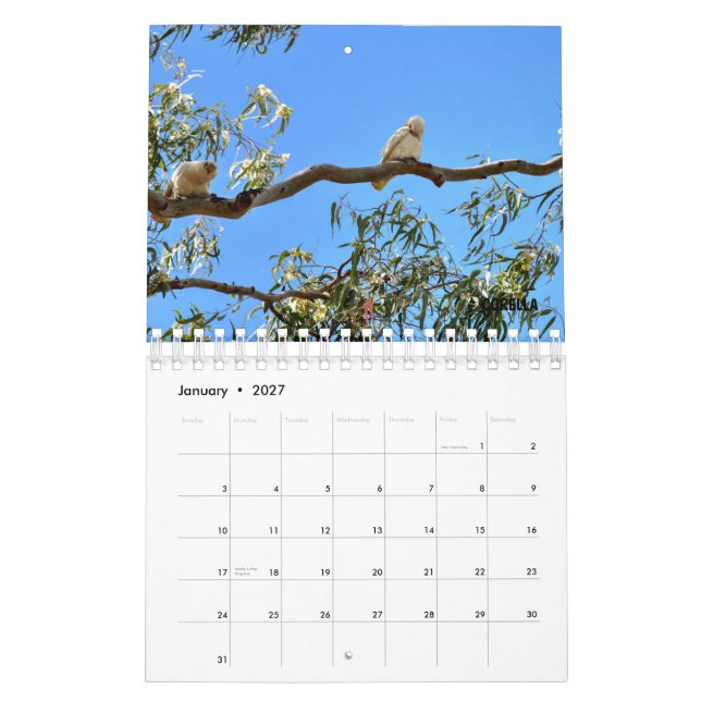 AUSTRALISCHE WILD LEBENDE TIERE KALENDER (Jan 2027)