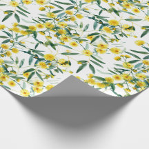 Australische Wildblume Golden Wattle