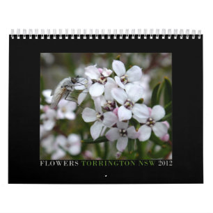 Australische Wildblumen Kalender
