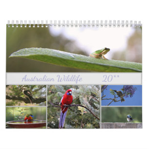 Australische Wildlife Fotografie Motivierend Kalender