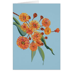 australische Zahnfleischblüten