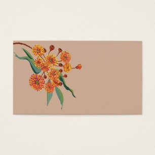 australische Zahnfleischblüten