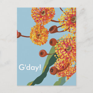 australische Zahnfleischblüten Postkarte