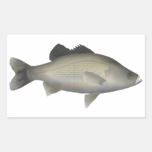 Australischer Bass Rechteckiger Aufkleber