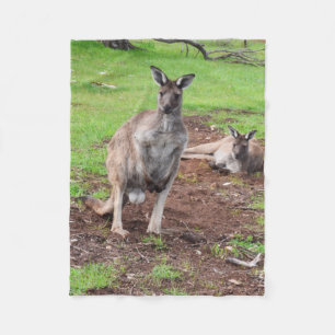 Australischer Buck Kangaroo, kleines Fleece Blanke