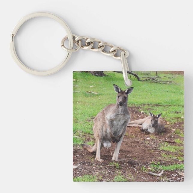 Australischer Buck Kangaroo, Schlüsselanhänger (Vorderseite)