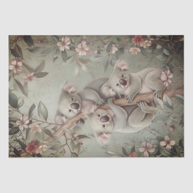 Australischer Eukalyptus Koala Bear Seidenpapier (Vorderseite)