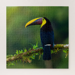 Australischer exotischer Sommervogel herausfordern Puzzle
