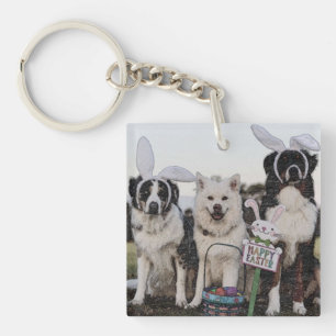 Australischer Hirte, Aussie, Shepherd Schlüsselanhänger
