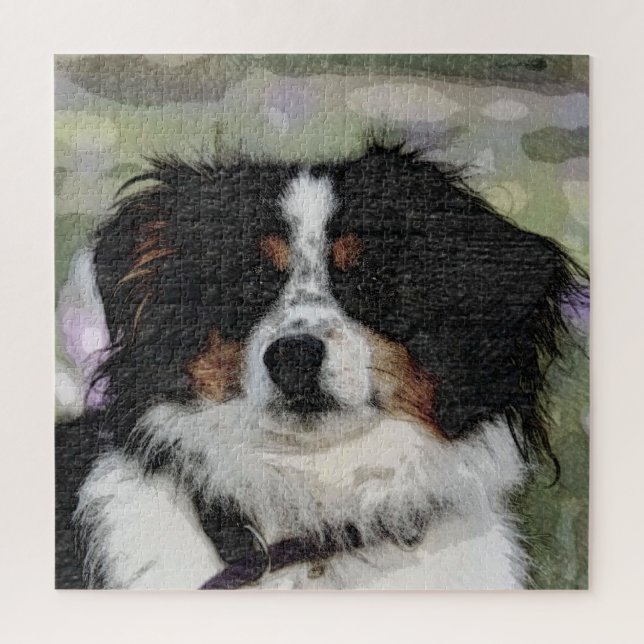 Australischer Hirte, Haustier, Hund Puzzle (Vertikal)