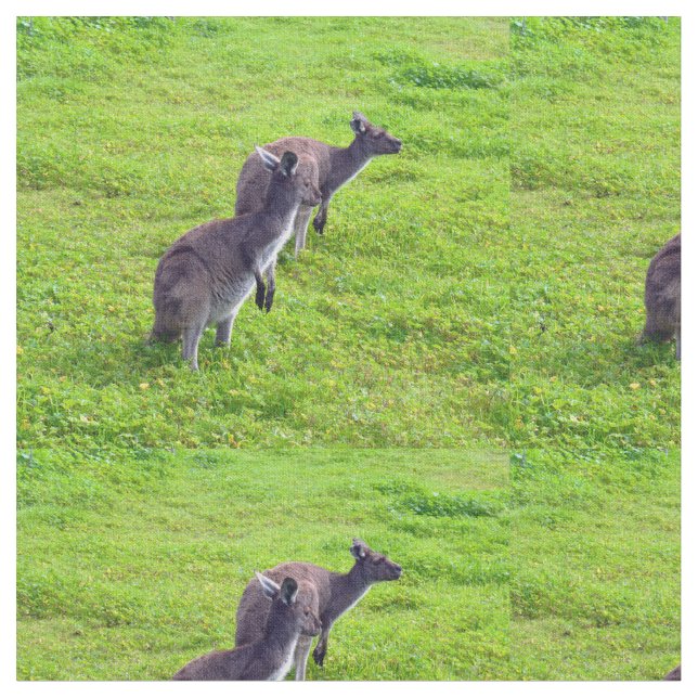 Australischer Kangaroos auf Grünweide, Stoff (Nahaufnahme)