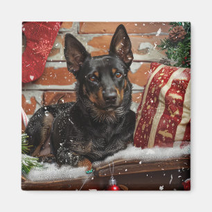 Australischer Kelpie-Hund Weihnachtsfestlich  Magnet