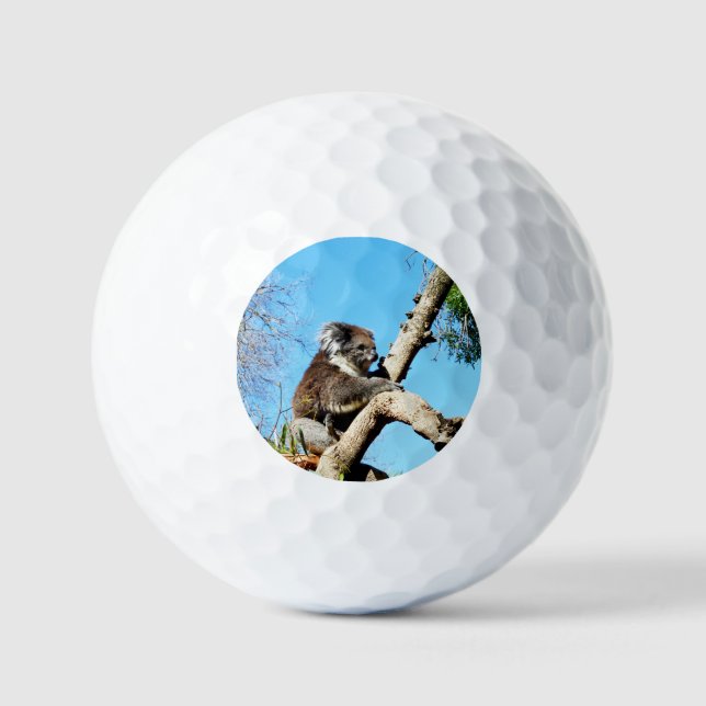 australischer Koala-Bär im alten Kiefernbaum, Golfball (Vorderseite)