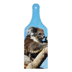 australischer Koala-Bär im alten Kiefernbaum, Schneidebrett
