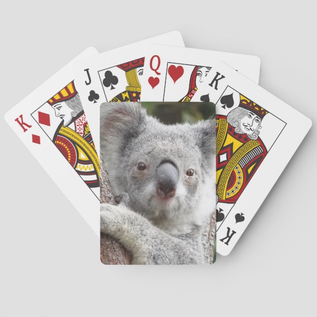 Australischer Koala Spielkarten (Rückseite)
