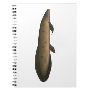 Australischer Lungfisch Notizblock