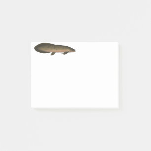 Australischer Lungfisch Post-it Klebezettel