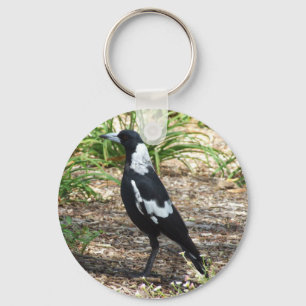 Australischer Magpie-Schlüsselring Schlüsselanhänger