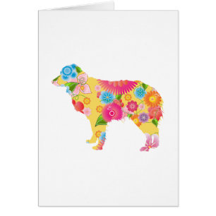 Australischer Miniaturschäfer