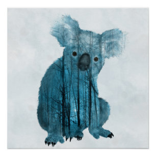 Australischer nebelhafter Waldkoala Poster