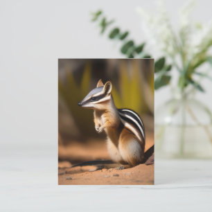 Australischer Numbat, Postkarte