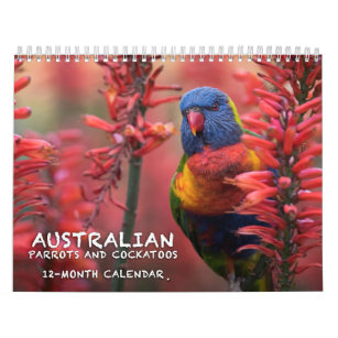 Australischer Papageien- u. Cockatooskalender - 3 Kalender