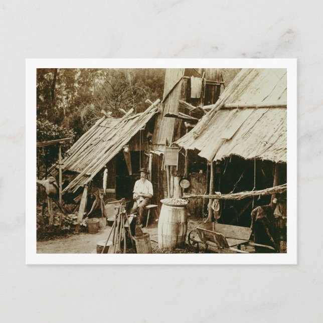 Australischer Prospektor, c.1880s (sepia-Foto) Postkarte (Vorderseite)