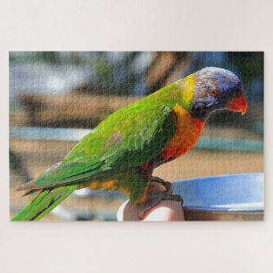 Australischer Regenbogenvogel Puzzle
