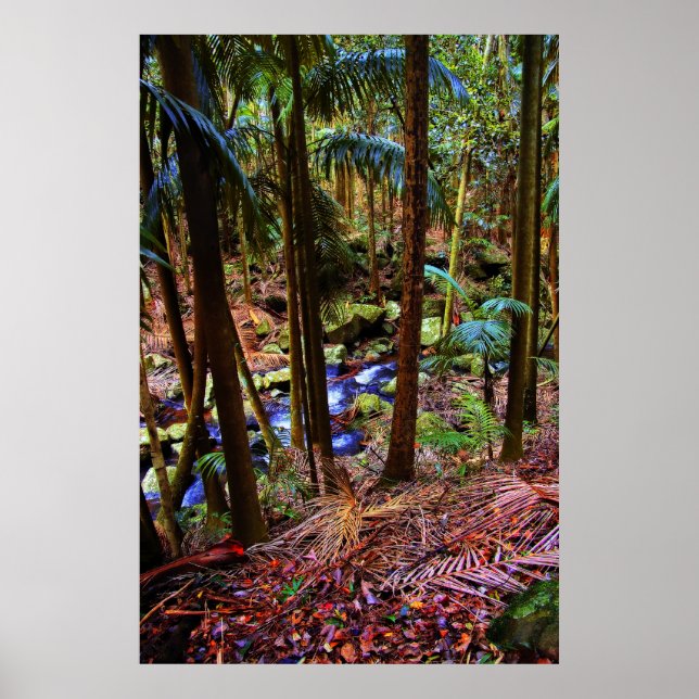 Australischer Regenwald Poster (Vorne)