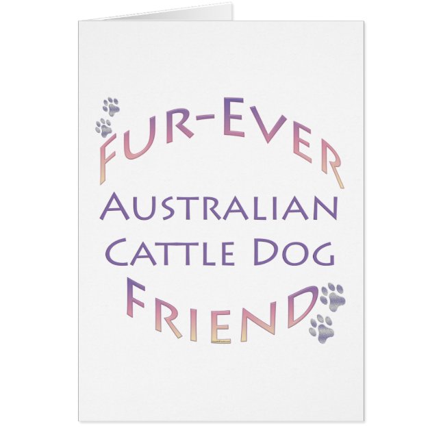 Australischer Rinder Dog Furever (Vorne)