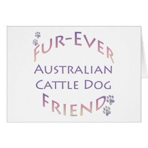 Australischer Rinder Dog Furever