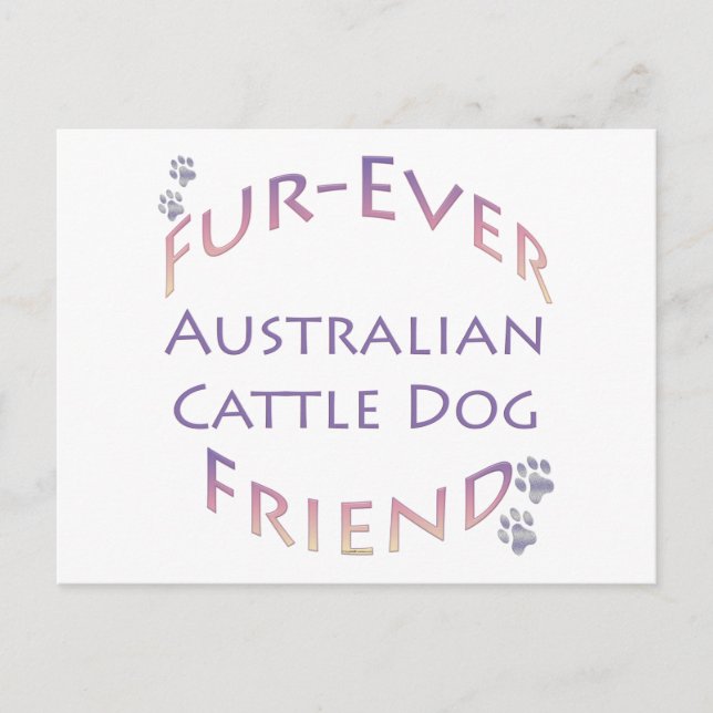 Australischer Rinder Dog Furever Postkarte (Vorderseite)
