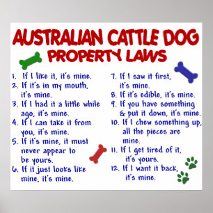 AUSTRALISCHER RINDER DOG PL2 POSTER